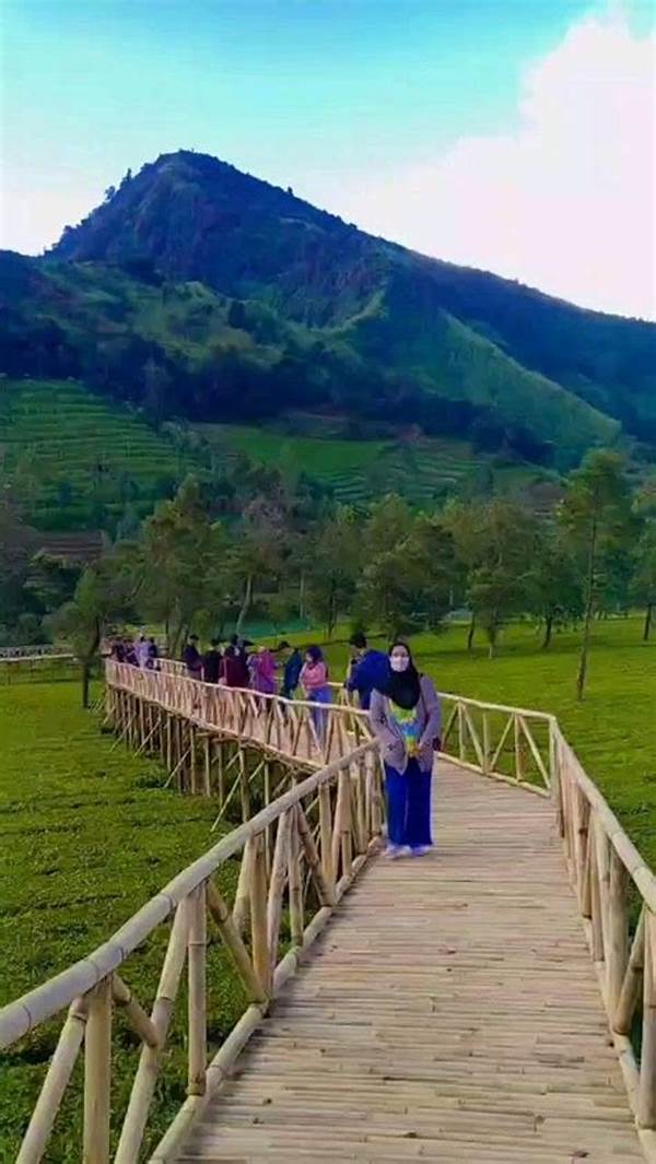 Agrowisata Tambi Wonosobo Masuk 6 Besar Wonderful Indonesia Award 2025! Cek Keindahan Budaya Tani Di Sana!