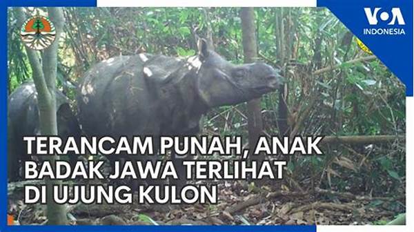 Hati-hati! Ribuan Kosakata Lokal Jawa Terancam Punah, Cek Daftar Kata Yang Wajib Kita Lestarikan!